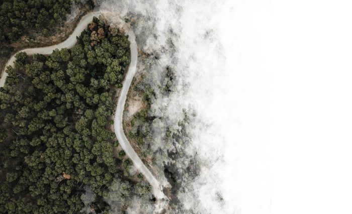 forestrybg